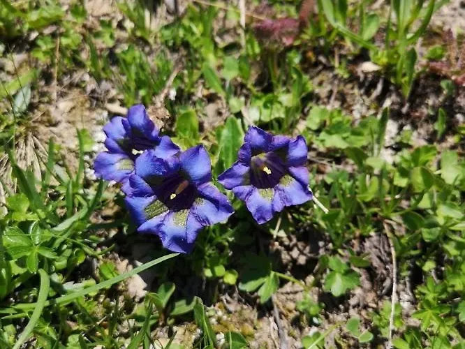Hostel Touristenheim Bergfreude *